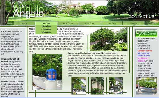 Snapper_Green Template